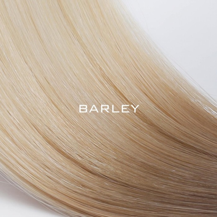 Extensii de Par Mounir - Barley